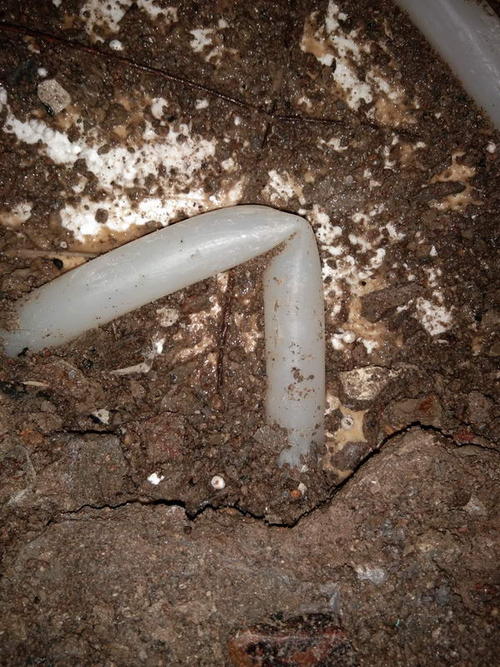 鹿城堵点精准查找